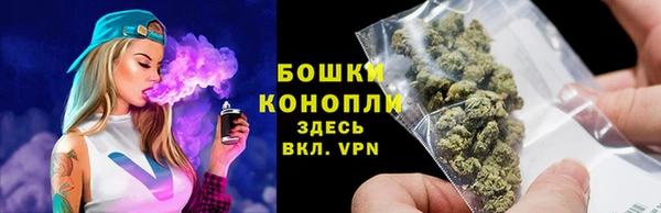 тгк Богданович