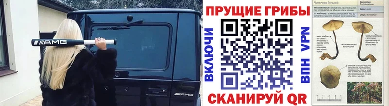 Псилоцибиновые грибы Psilocybine cubensis  Верхнеуральск 